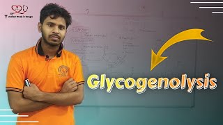 Overview of Glycogenolysis in bangla glycogen breakdown [upl. by Felice796]