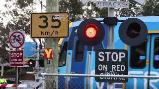 Charles St Level Crossing  Dead lights [upl. by Snoddy]