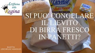 Come congelare il lievito di birra fresco in cubetti [upl. by Enelrats]