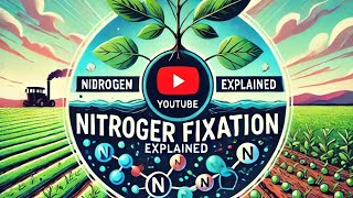 Nitrogen fixation nitrogen fixation ke factnitrogenfixation [upl. by Eynttirb]