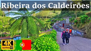 Azores  Ribeira dos Caldeirões 4K Amazing Portugal [upl. by Alpers]