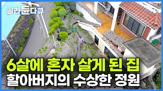 “돈 달라는 대로 주겠다” 해도 팔지 않은 집 6살 혼자 남은 아들이 할아버지가 될 때까지 어머니를 생각하며 지켜온 집의 사연┃어머니에게 바치는 사모곡┃건축탐구 집┃골라듄다큐 [upl. by Nauqahs211]