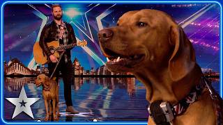 SINGING DOG performs cover of Summer of 69  Unforgettable Audition  Britains Got Talent [upl. by Aubrette587]