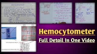 Hemocytometer  hemocytometer rbc count  calculation in neubaur chamber [upl. by Graf]