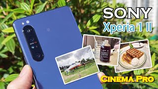 4K HDR 實拍 Sony Xperia 1 II 相機測試 Part 1  Cinema Pro 影片樣本 大量日夜影片手機直出 只限部分支援HLG裝置 [upl. by Lucian]