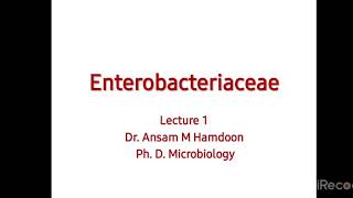 Lec1  part 1 Enterobacteriaceae DrAnsam and DrWaleed  Microbiology [upl. by Blisse]