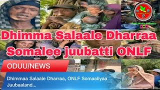 DhimmaSalaaleDharraa SomaliyaaJuubaland ONLF [upl. by Buonomo261]