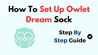 How To Set Up Owlet Dream Sock [upl. by Anovad190]