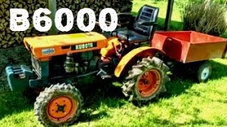 Kubota B6000 Beast [upl. by Bethezel]