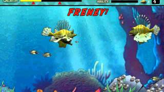 Feeding Frenzy Gameplay Stage 3 Bubble Bubble [upl. by Kalvn]