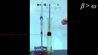 Damped Oscillatory Motion [upl. by Hamal]