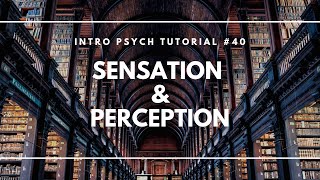 Introduction to Sensation and Perception Intro Psych Tutorial 40 [upl. by Itsrik223]