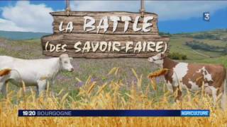 Salon de l’agriculture 2017  le tuto « comment asseoir un mouton de 90 kilos  » [upl. by Anitserp990]