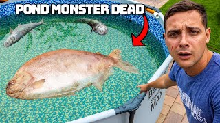 I Found The Pond Monster Dead [upl. by Tam208]