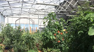 Grow Ceres  Vegetable Planting Schedule in a YearRound Solar Greenhouse [upl. by Carmon]