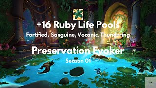 Preservation Evoker  Ruby Life Pools 16  Fortified [upl. by Arahas]