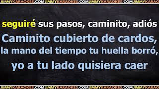 Julio Iglesias Caminito PISTA KARAOKE [upl. by Sheedy]