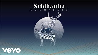 Siddhartha  Camuflaje Cover Audio [upl. by Orozco]