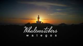 quotWhalewatchersquot at Wategos Byron Bay [upl. by Vincelette]