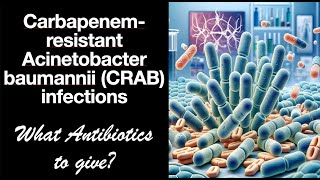 Carbapenemresistant Acinetobacter baumannii CRAB infections IDSA Guidelines [upl. by Jethro]