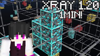 Jak pobrać XRAY do Minecraft 120  TxTXRay [upl. by Yrocej]