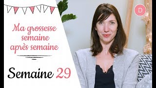 29ème semaine de grossesse – La préparation à l’accouchement [upl. by Sheelah635]