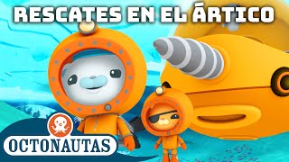 Octonautas  🐻‍❄️ Resgates do Ártico ⛑️  Compilação  Episódios inteiros [upl. by Ecnar807]