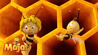 Heute ist es so heiß  Die Biene Maja🐝🍯🐝 [upl. by Columbine569]