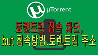 토렌트킴 접속 차단 but 접속방법토렌트킴 주소 [upl. by Ecallaw301]