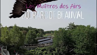 Les maîtres des Airs  ZooParc de Beauval [upl. by Enamrej]