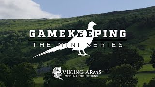 Gamekeeping The Mini Series  Pheasant E2 [upl. by Ilaw339]