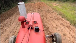 IH farmall M tilling in wheat seed and lime [upl. by Doley]