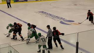 Dartmouth Whalers vs Cape Breton Cougars 28 Oct 2017 [upl. by Barcroft]