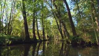 Mit Kanu und Kahn durch den Spreewald [upl. by Eittel]