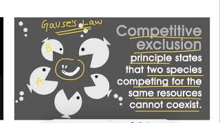 Competitive Exclusion Principle Gauses Law in ecology Explained [upl. by Lynad]