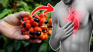 Top 8 Surprising Guarana Benefits  Health Benefits of Guarana [upl. by Pelage]