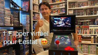 Un flipper virtuel en cadeau d’anniversaire pour Lestat [upl. by Erhart]