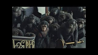 Koba Kills Ash Scene  Dawn of the Planet of the Apes 2014LOWI [upl. by Magree679]