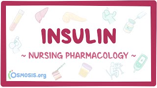 Insulin Nursing Pharmacology [upl. by Cuthbertson]