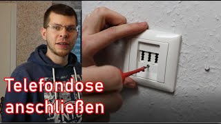 Telefondose anschließen  Telefonkabel verlängern ElektroM [upl. by Snider945]