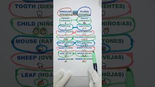 Aprende Plurales en Inglés Rápidamente 🎶 AprendoInglésCantando6191 ingles pronunciacióninglés [upl. by Abita243]