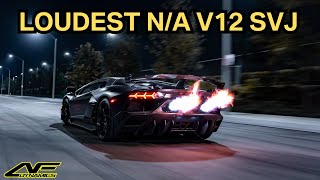 Worlds Highest Pitch Aventador SVJ UHP  Ultra High Pitch  F1 SYSTEM [upl. by Ranjiv]