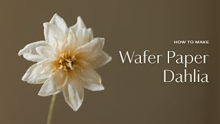 Learn my secrets to making Dahlia Wafer Paper Flowers [upl. by Averyl]