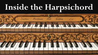 Inside the Harpsichord [upl. by Deacon]