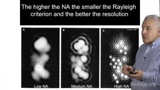 Microscopy Resolution in Microscopy Jeff Lichtman [upl. by Capon290]