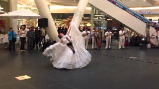 Ballet Folklórico de México de Amalia Hernández  Morena [upl. by Annaes]