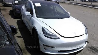 LIVE Looking for an Electric Car to Buy at the Auction [upl. by Burrow]