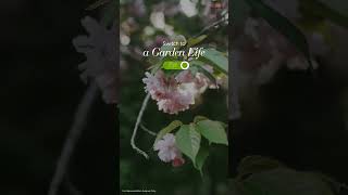 Switch to a Garden Life [upl. by Sanjay]