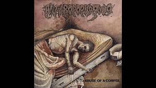 Anthropophagous  2 The Oozing Room  Abuse of a Corpse 2023 deathmetal [upl. by Eikciv920]