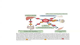 Hepatic Encephalopathy [upl. by Tice]